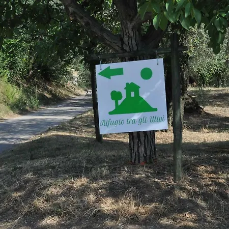 Rifugio Tra Gli Ulivi Campagna