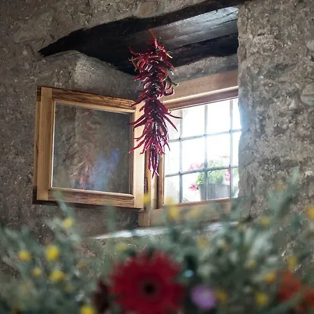 Rifugio Tra Gli Ulivi Bed & Breakfast Campagna