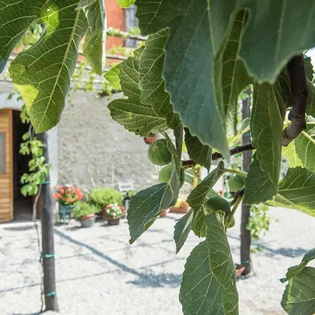 Rifugio Tra Gli Ulivi Bed & Breakfast