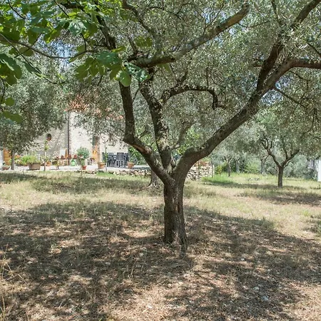 Rifugio Tra Gli Ulivi فندق مبيت وإفطار