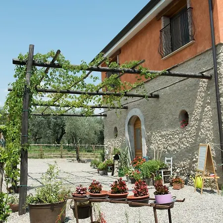 Rifugio Tra Gli Ulivi Bed & Breakfast *