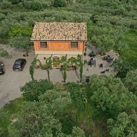 Rifugio Tra Gli Ulivi Bed & Breakfast Campagna