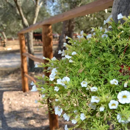 Rifugio Tra Gli Ulivi فندق مبيت وإفطار